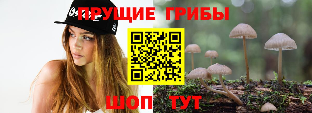 Новосибирск  Псилоцибиновые грибы мицелий  Вход с VPN 
